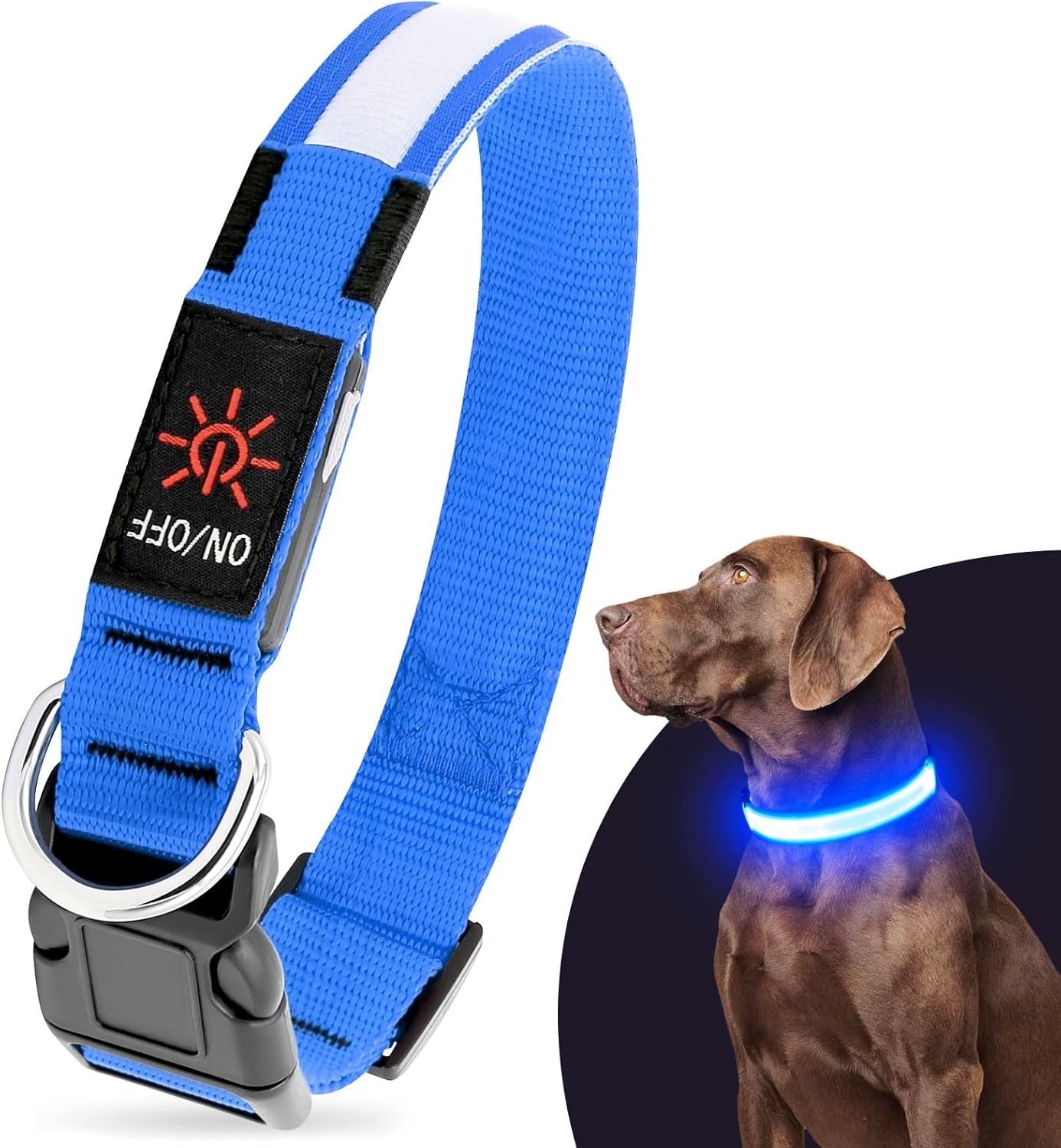 Illumifun LED Dog Collar, Fashion Rechargeable Dog Collar Glow in The Dark, Water-Resistant Safety Pet Collar for Your Dogs Walking at Night (Blue, Medium)