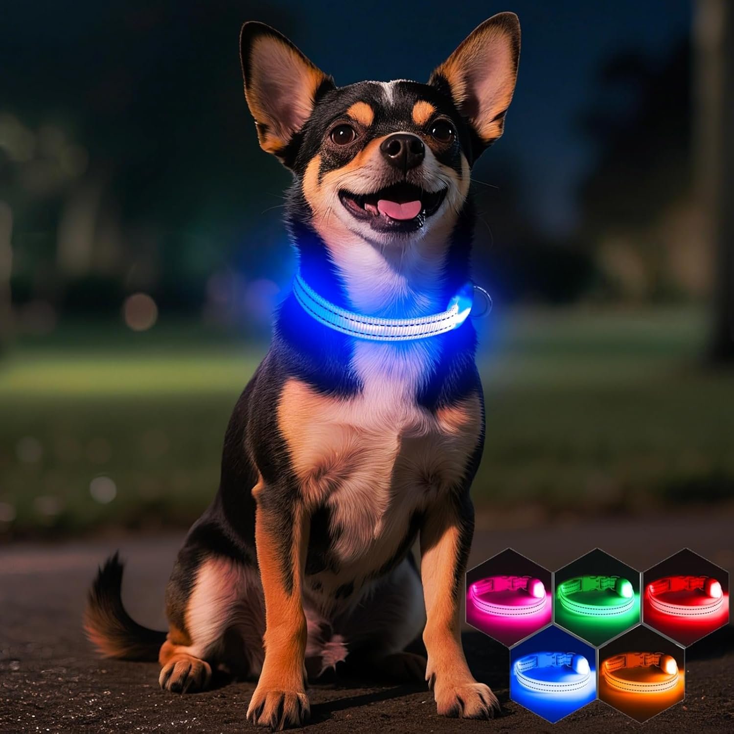 Light Up Dog Collar – Rechargeable Puppy Collar Glow in The Dark LED Dog Collar Lights for Small Dogs & Cats (X-Small, Blue)